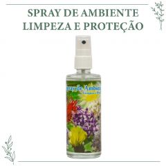 SPRAY LIMPEZA E PROTEÇÃO